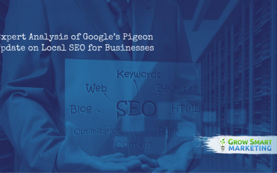 Expert Analysis of Google’s Pigeon Update on Local SEO for Businesses